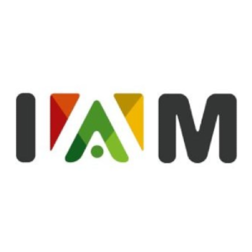 IAM/ Institut africain de management